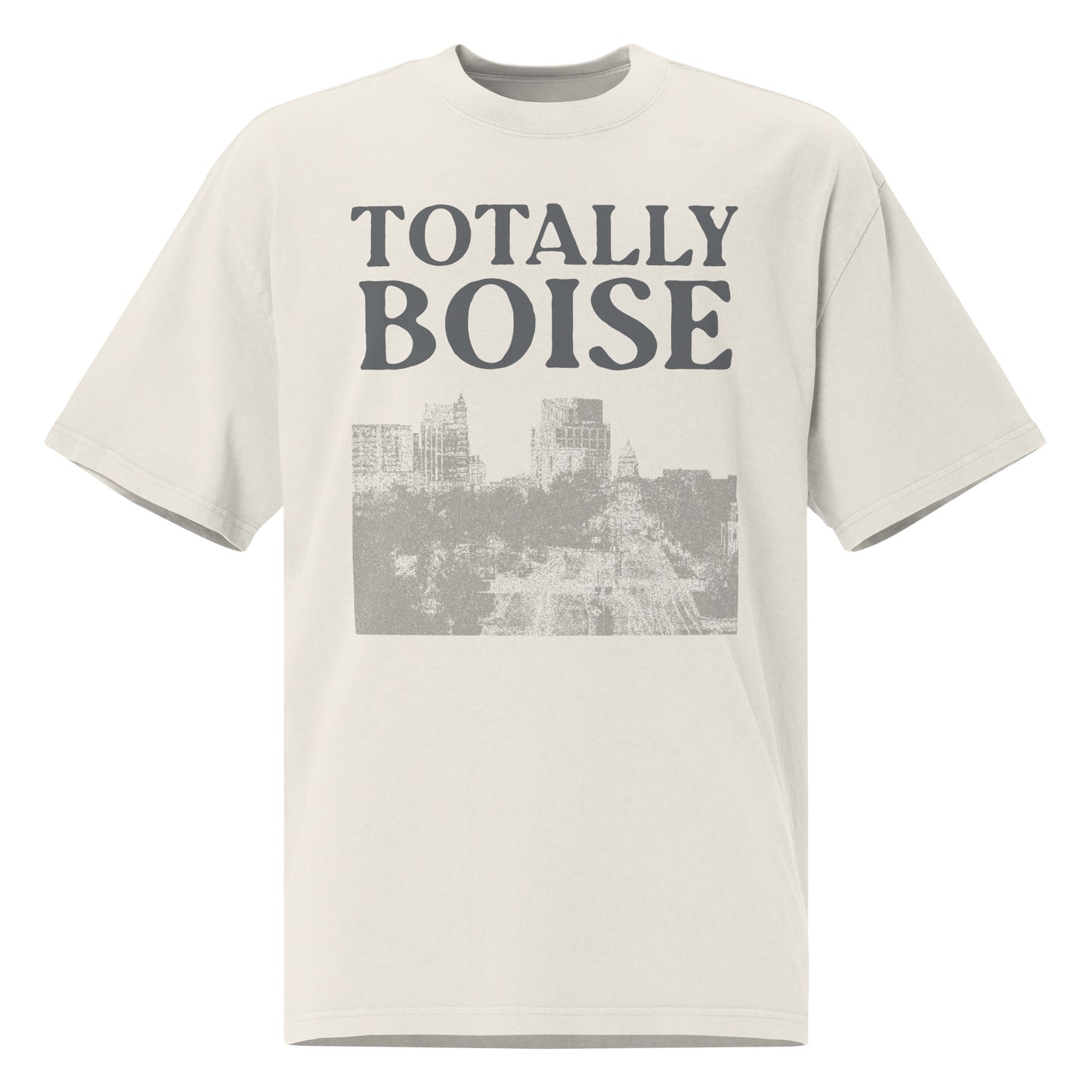 Totally Boise Oversized Faded T-shirt